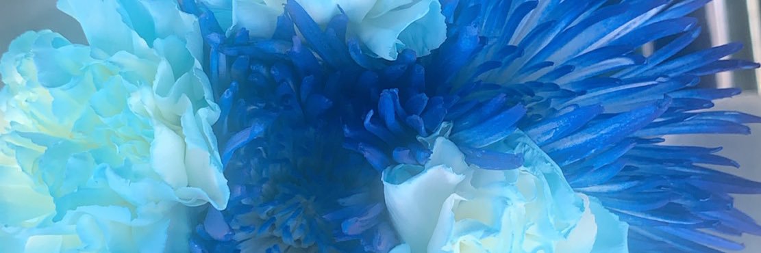ariaaaaannna's profile banner image