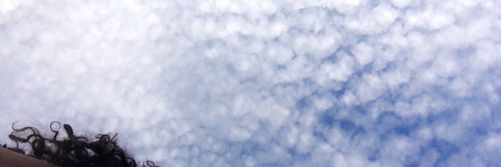 nfosterb's profile banner image