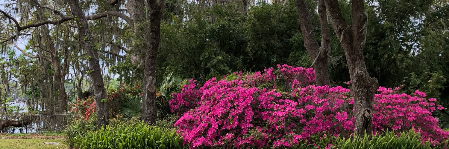 CWTSpaces's profile banner image