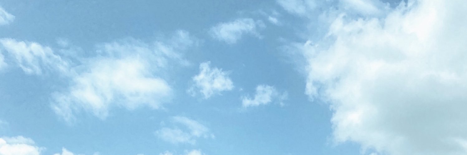 FlorDalesio's profile banner image
