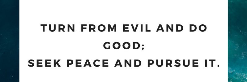 (Seth) Tatahashi banner