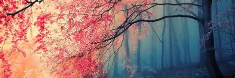 Nikhil J. Alva banner