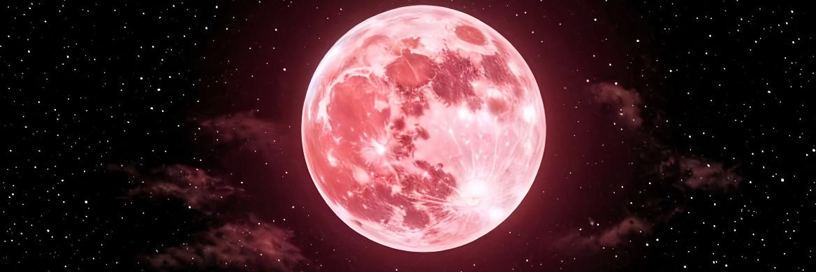 REEvsBASH's profile banner image