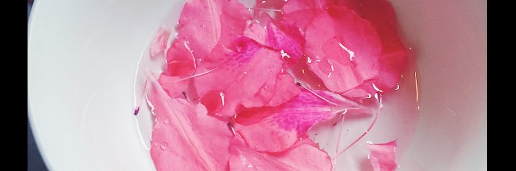 _therecovery's profile banner image