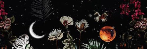 tonimars_'s profile banner image