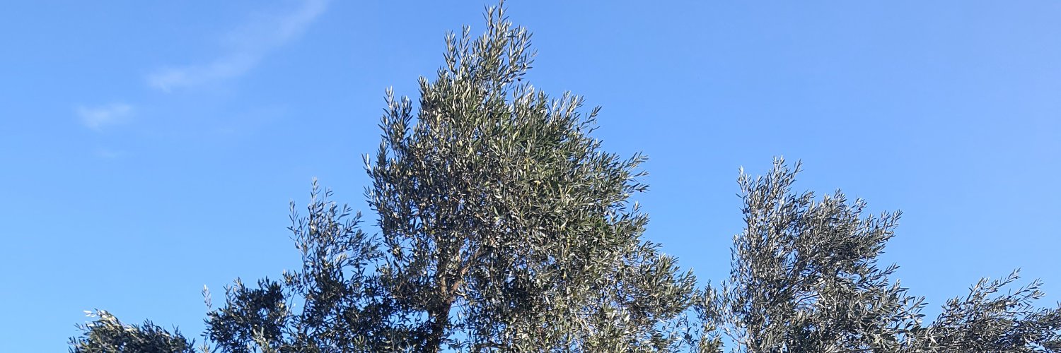 Mehmet Karagözoğlu banner