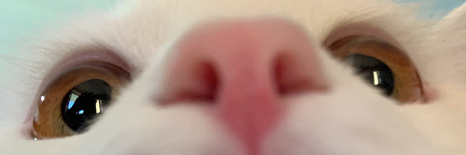 nuacho_o's profile banner image