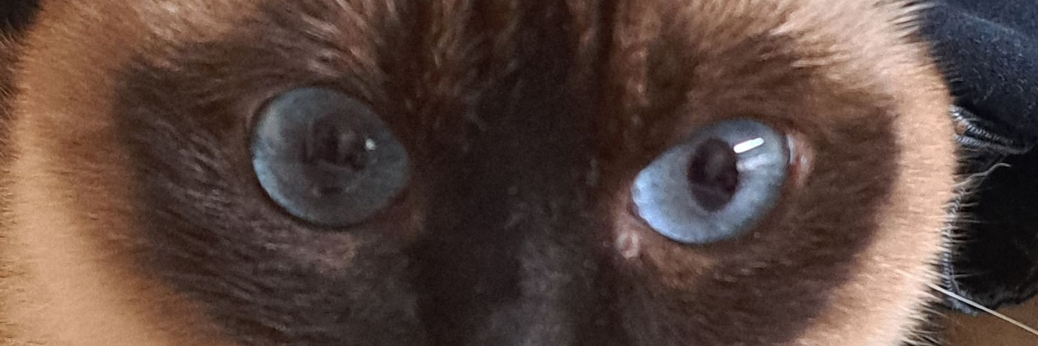 Danepoes's profile banner image