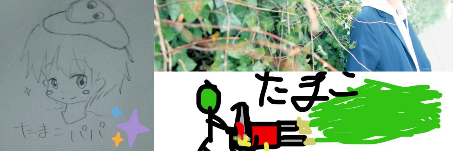 Ciel_egg's profile banner image