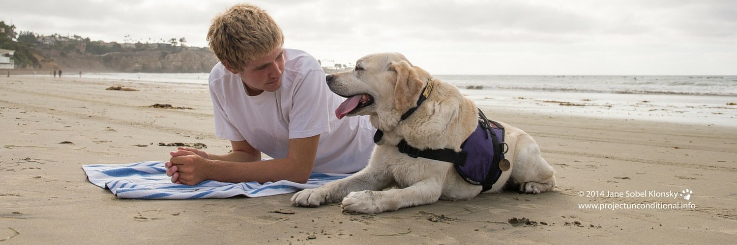 TLC Assistance Dogs banner