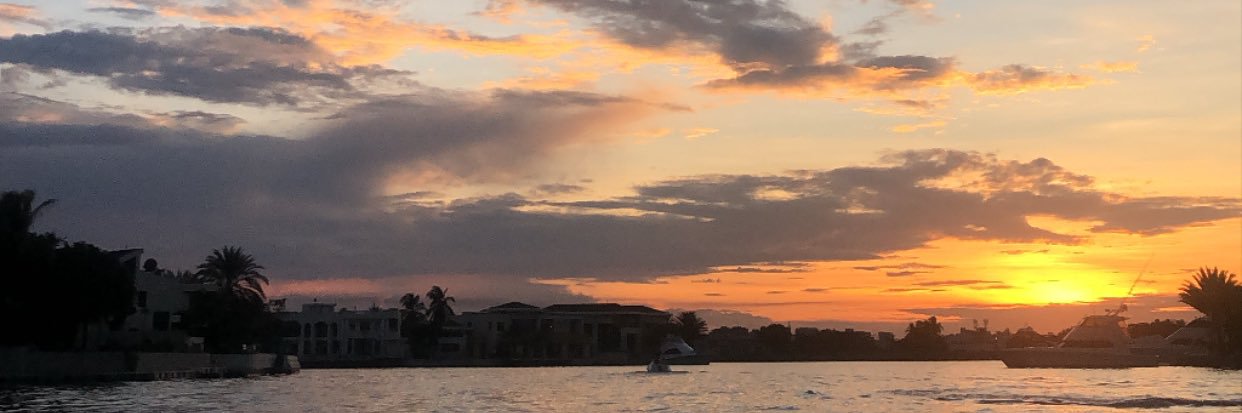 emelytorres_'s profile banner image