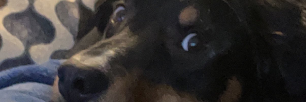 JBird73486's profile banner image
