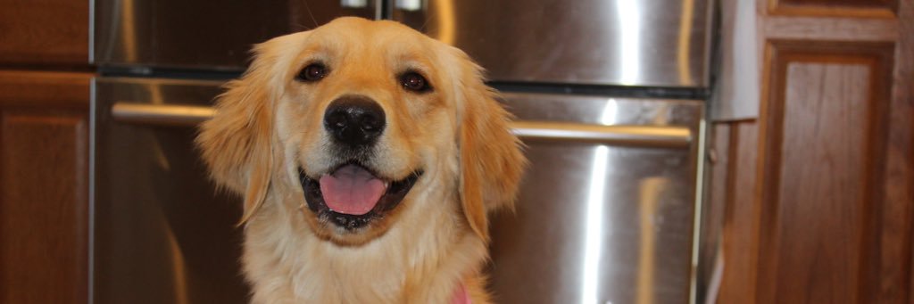 MaKaylaBaker12's profile banner image
