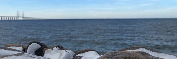 martastenevi Profile Banner