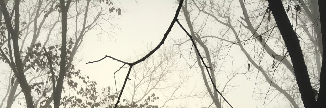 KodyFarr's profile banner image
