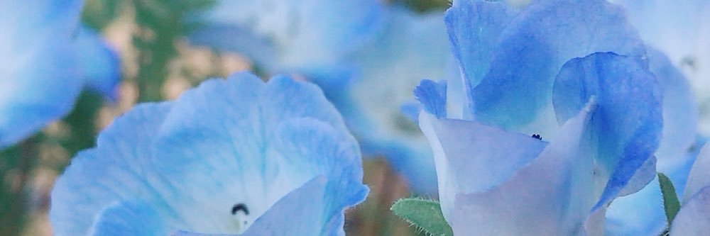 sg__25's profile banner image