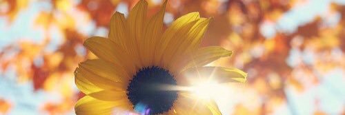 special0103's profile banner image