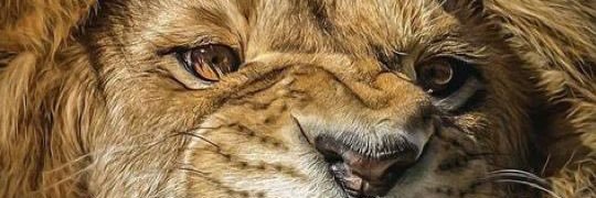OnMarz's profile banner image