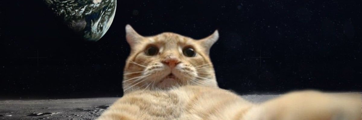 MorganMorris6's profile banner image