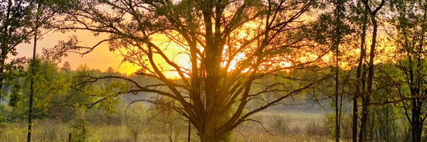 LifeAfterSer Profile Banner