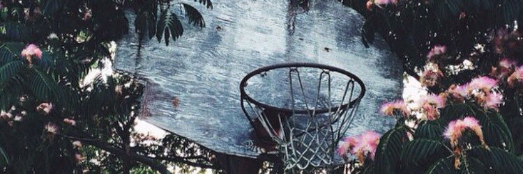 misscdubs's profile banner image