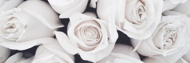 jennaaherr's profile banner image