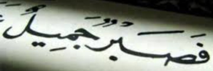 ooplnn123's profile banner image