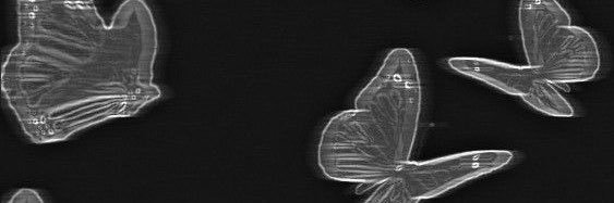 aklayeni's profile banner image