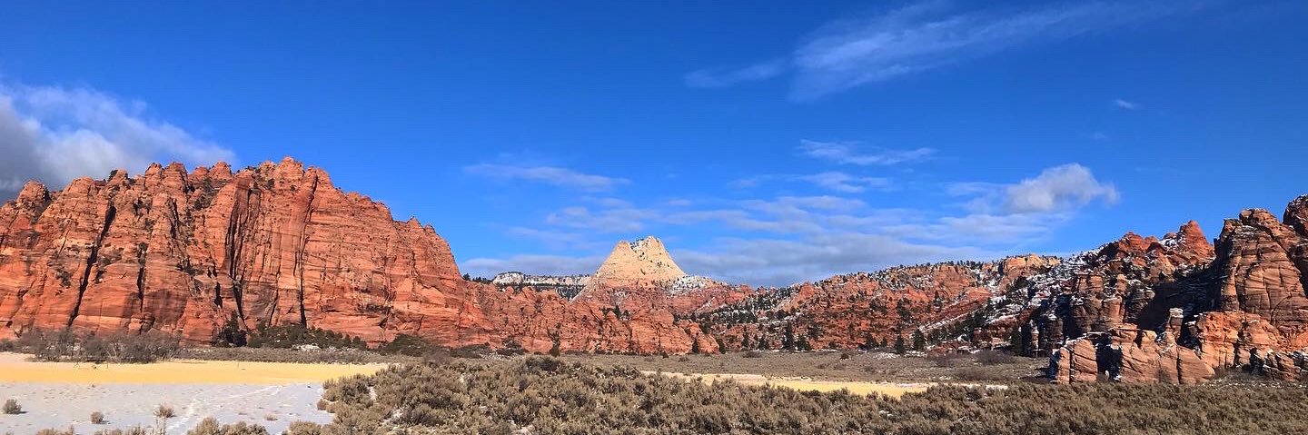 Mallory Martin banner