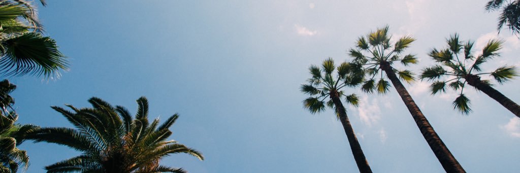 gsimp133's profile banner image