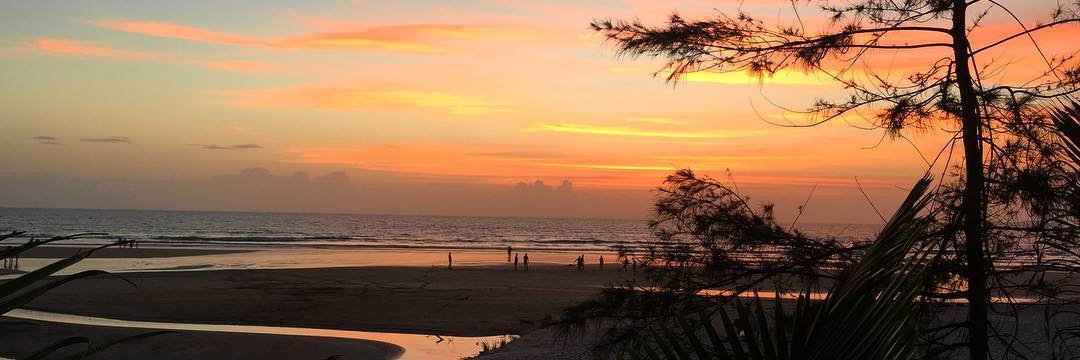 beachforumz's profile banner image