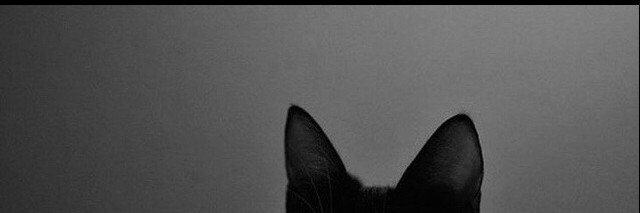 LUNNAw13's profile banner image