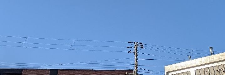 singauta's profile banner image