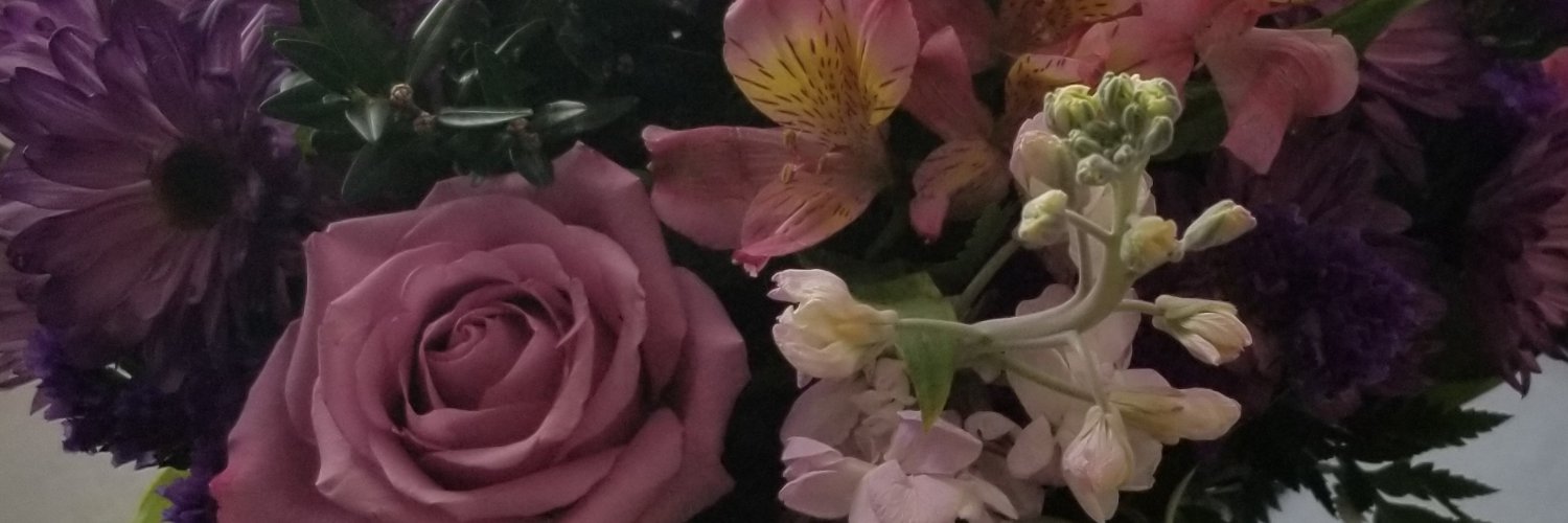 strongsoupsoftflowers banner