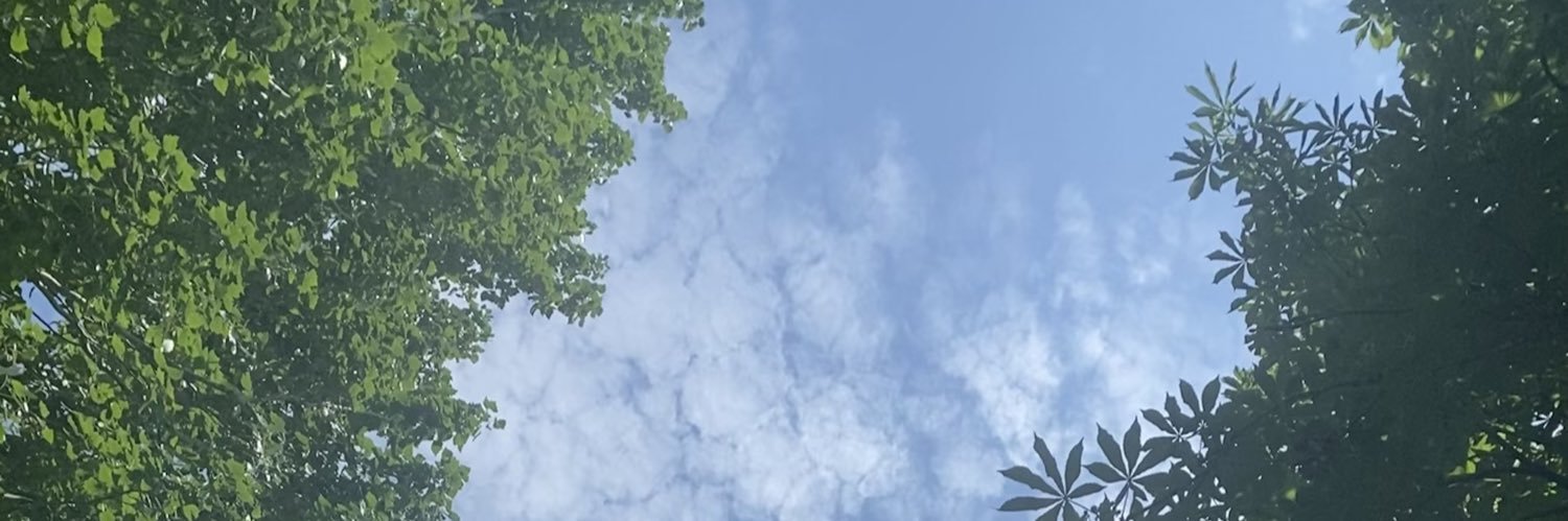 Daria_t's profile banner image