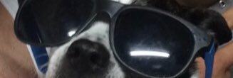 Caseybruce27's profile banner image