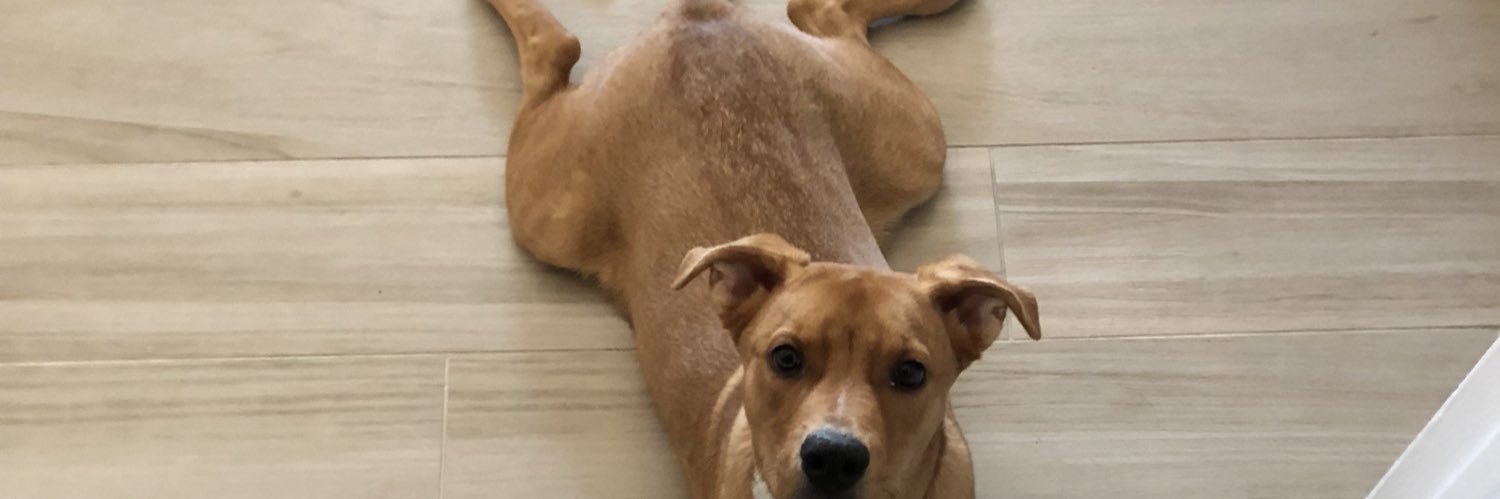 MaggieChanner's profile banner image