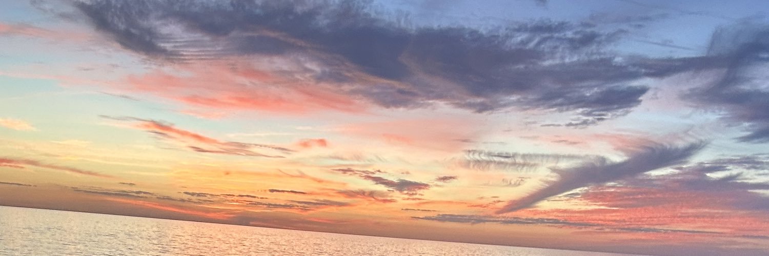 JacksonFlorea's profile banner image