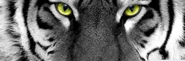 DericM14's profile banner image