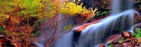 candra89016623's profile banner image