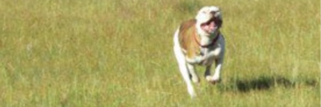 Dallas_710's profile banner image