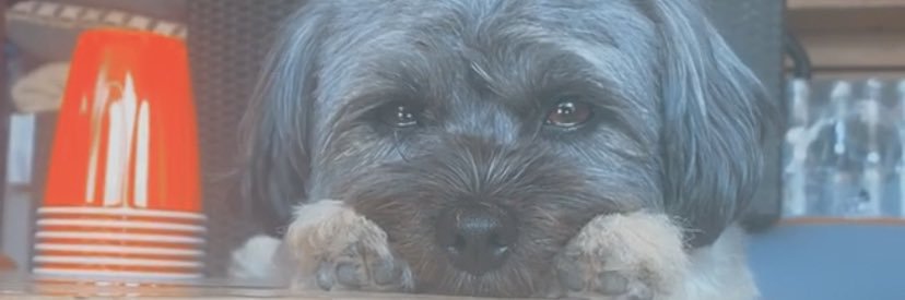 Alicee_Dee's profile banner image