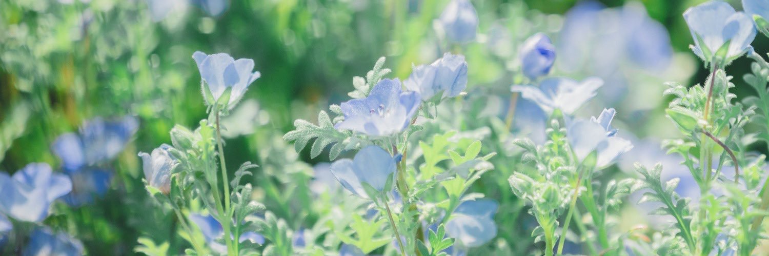 小島葵 Roco banner