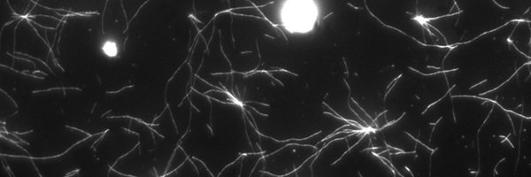 srv_adhikari Profile Banner