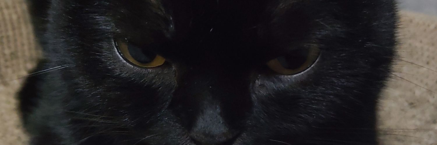 Tony Mont⩜⃝na banner