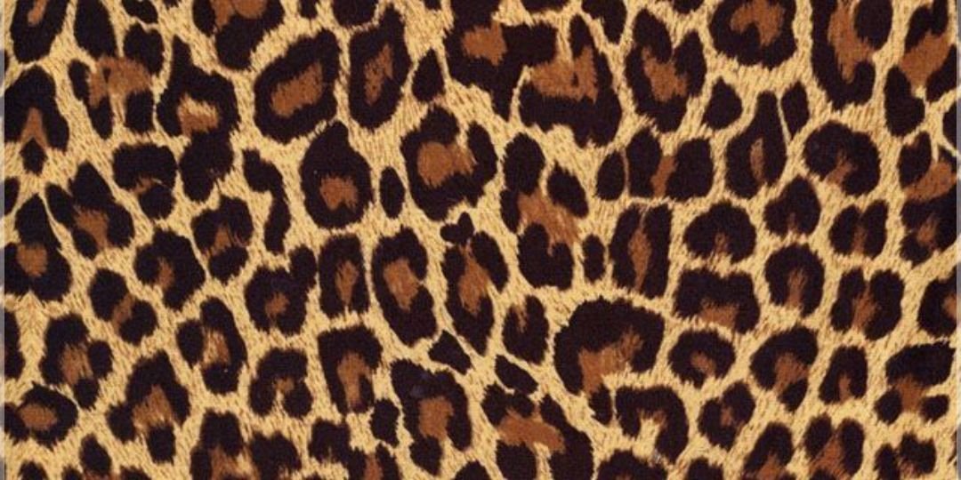kayla_high's profile banner image