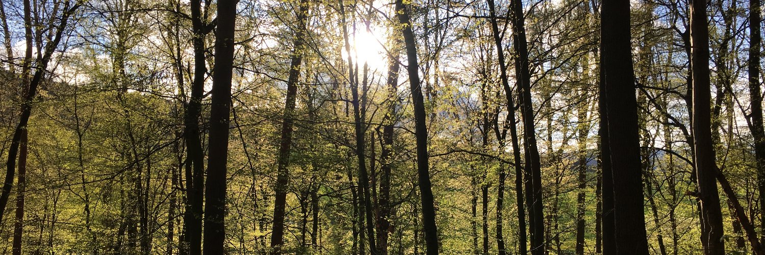 eschwege's profile banner image