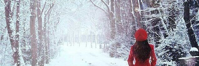 tulip2oo3's profile banner image