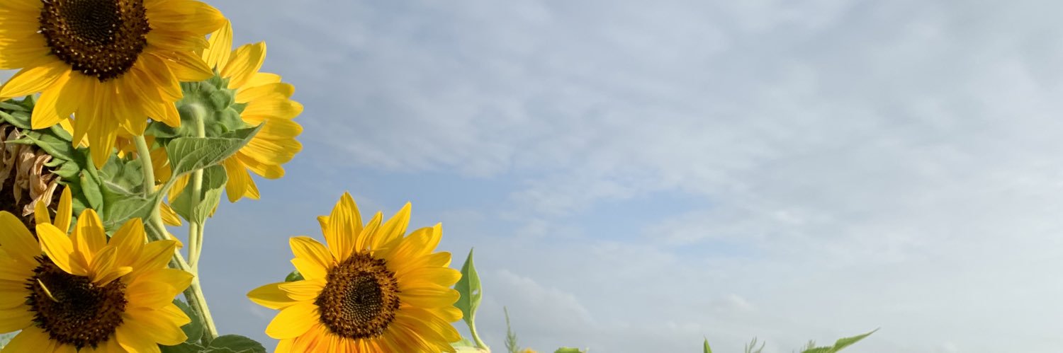 G O D D E S S ✨ 8 8 8 banner