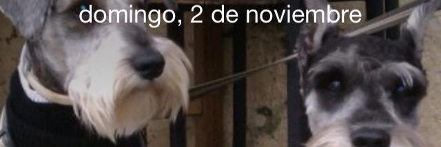 guarbito's profile banner image